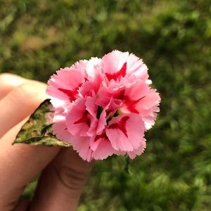 Meet your Posher, Crystal